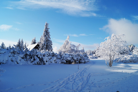 雪山景观.