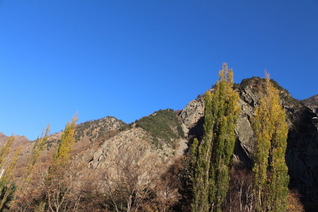 在山的风景。俄罗斯