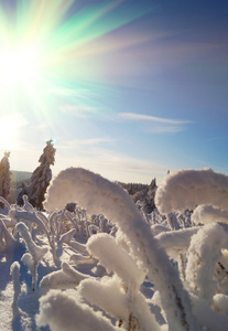 雪山景观