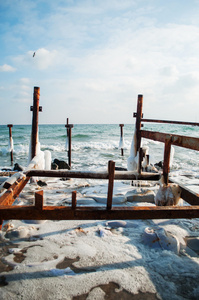 冰冻的冬天的大海与木杆。垂直