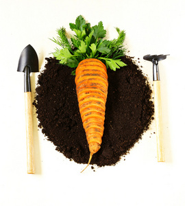 天然和有机食品   胡萝卜和蔬菜在地面上的概念