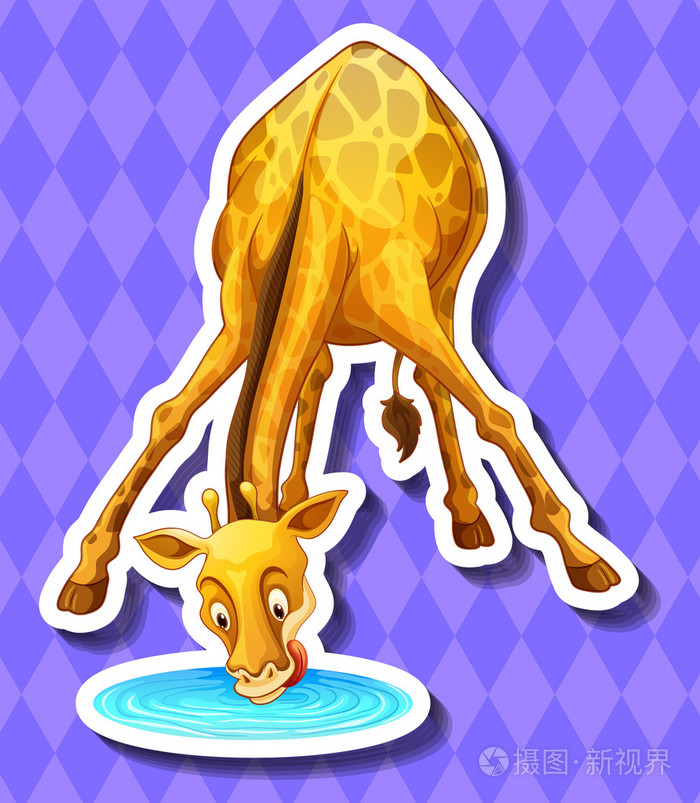 从水坑里可爱的长颈鹿喝水插画-正版商用图片1lhjl3-摄图新视界