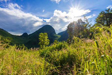 与彩林山绿化景观