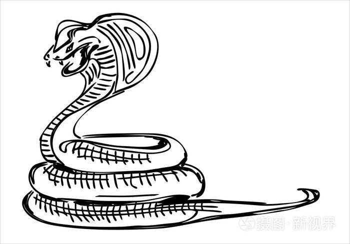 抽象的眼镜蛇蛇