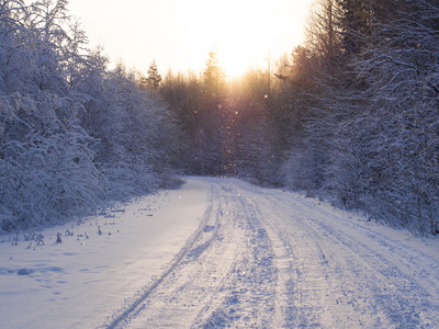 森林道路上覆盖着雪