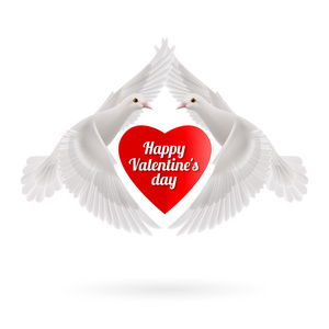 红色的心之间两只飞白鸽在白色背景上