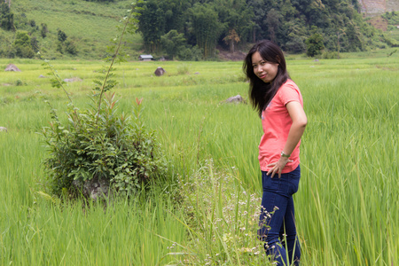 泰国女子与水稻梯田，Pha 星期一清迈泰国