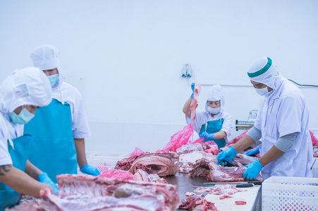 切割肉类屠宰工人在工厂里加里宁罗森瑙废弃肉类加工厂屠宰场屠宰场