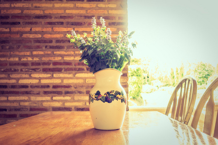 花瓶植物与户外景观