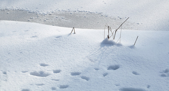 冰雪覆盖的土地特写冬季的一天