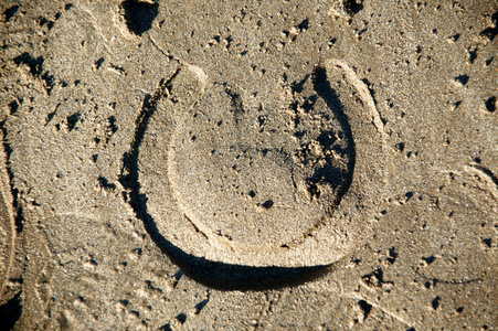 沙滩上的马蹄印记照片