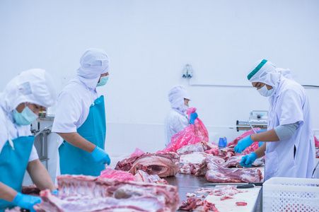 切割肉类屠宰工人在工厂里