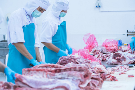 切割肉类屠宰工人在工厂里肉类工厂的洗手盆屠宰场肉类加工厂,切