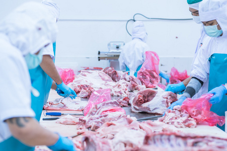 人类屠宰在中非, 在 1598年, 老式雕刻插图.