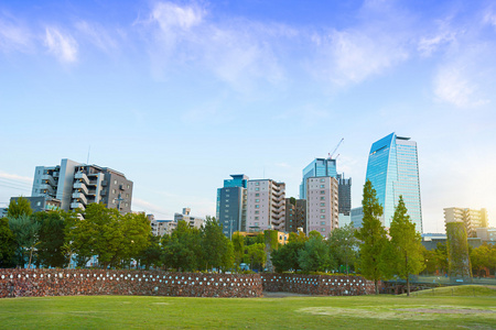 中央公园在阳光明媚的日子，日本