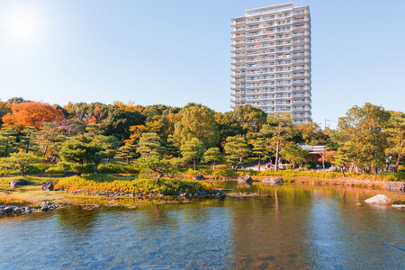 日本花园在秋天  夏时制