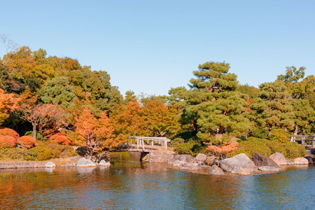 日本花园在秋天  夏时制