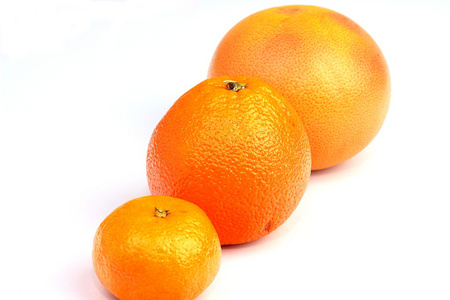 柑橘的集