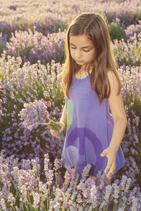 小女孩在一块薰衣草花田