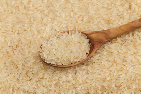 水稻在勺