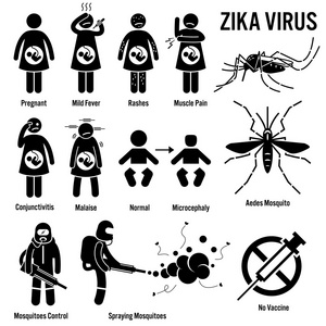 Zika 病毒白纹伊蚊蚊棒图象形图图标