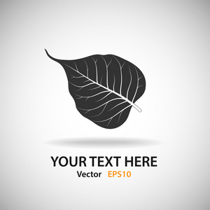 菩提叶矢量 eps10菩提叶树菩提树叶骨架菩提树叶自然