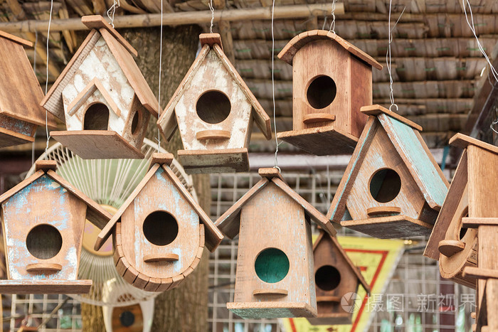 多样的木房子里的鸟