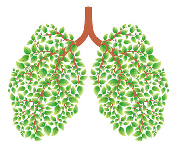 器没有计划的目标是只是希望在标签上的无字肺部感染健康肺与吸烟者肺