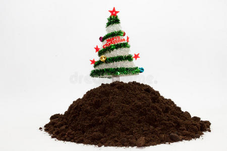 土壤中的圣诞树