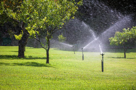 微喷带花园浇水图片