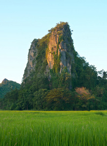 岩山景观