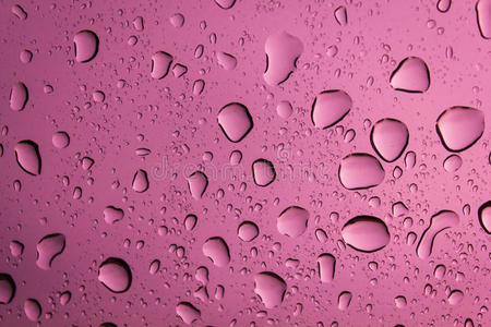 粉红色背景上的水滴。