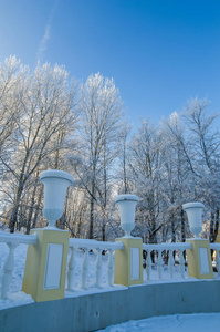 美丽的城市公园，树木覆盖着白霜