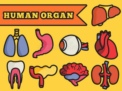 设置平面人体器官图标插图概念。