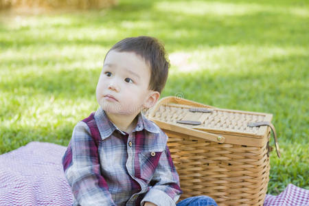 可爱的混血男孩坐在公园野餐篮旁
