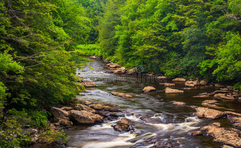 西弗吉尼亚州黑水瀑布州立公园的一座桥上的瀑布。