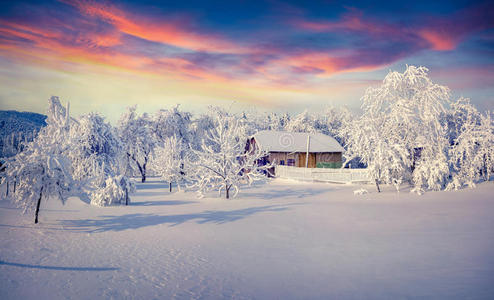 冬天的童话，大雪覆盖了树木和房屋