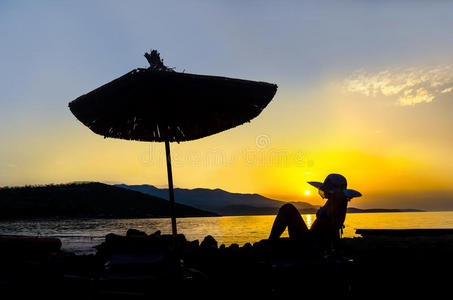 目的地 巡航 海湾 棕榈 青稞酒 情景 放松 气候 自然