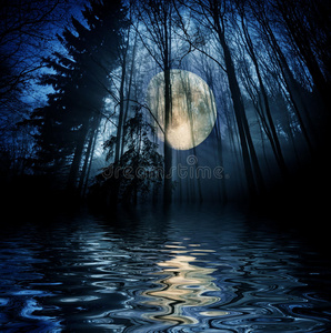 森林与月亮照片