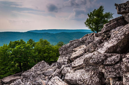 阿帕拉契亚山脉的景色，从被巨石覆盖的邓肯诺布尔山坡，乔治华盛顿国家森林，弗吉尼亚州。