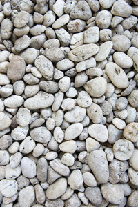 白色石头和卵石
