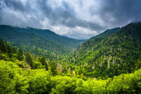 在田纳西州的大烟山国家公园，从新发现的盖普路俯瞰阿巴拉契亚山脉。