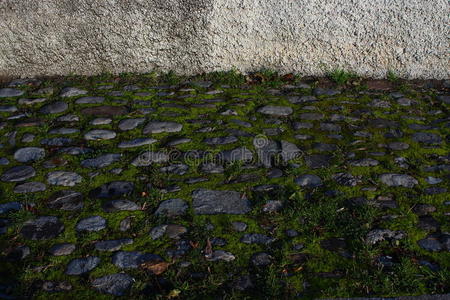 石质苔藓路面