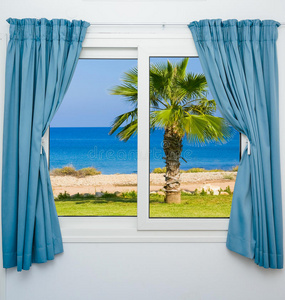 海棕榈的窗户