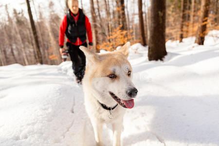 女人和狗在冬天的山上散步