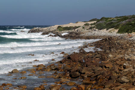 南非圣弗朗西斯角海岸