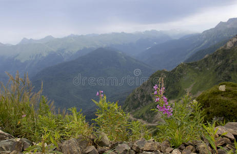 高加索山脉的山景。