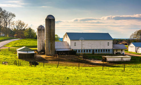 宾夕法尼亚州约克县农村农场上的谷仓和筒仓。