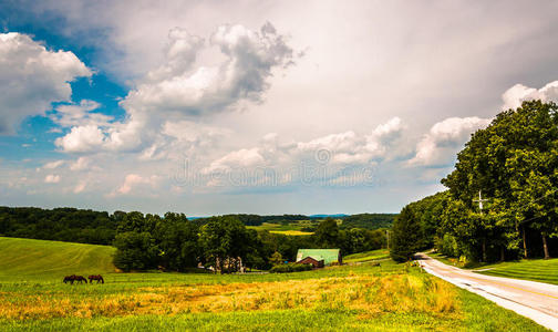 宾夕法尼亚州约克县南部的乡村公路和农田。