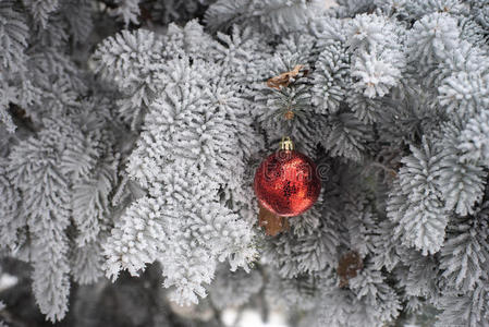 雪盖杉树玩具球